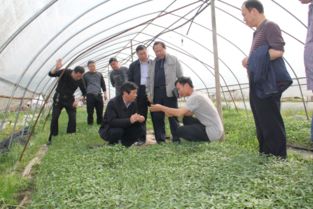 我校科技工作者上門服務(wù)現(xiàn)代農(nóng)業(yè)企業(yè)