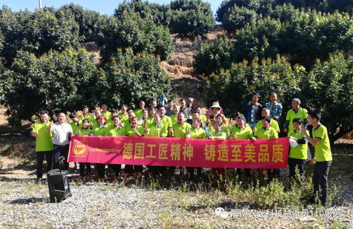 五指山市4位科技特派員分赴田間指導(dǎo)農(nóng)戶種植