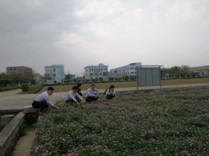 惠州市人民政府門(mén)戶網(wǎng)站