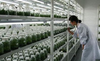 京津冀協(xié)同發(fā)展 合力打造&ldquo;中國農(nóng)業(yè)硅谷&rdquo;