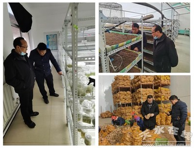 國家馬鈴薯產(chǎn)業(yè)技術體系天水綜合試驗站開展對接服務企業(yè)活動(圖)