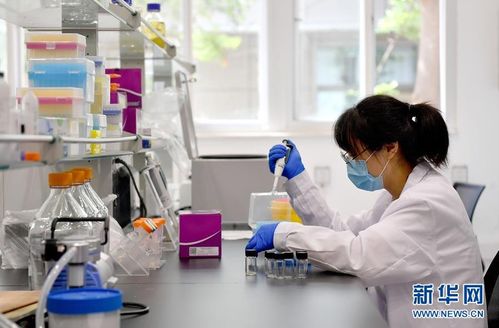 陜西楊凌 發(fā)展特色現(xiàn)代農(nóng)業(yè) 助力鄉(xiāng)村振興