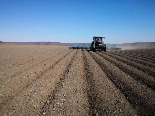 好一片希望的田野〡北大荒現(xiàn)代農(nóng)業(yè)插上科技翅膀