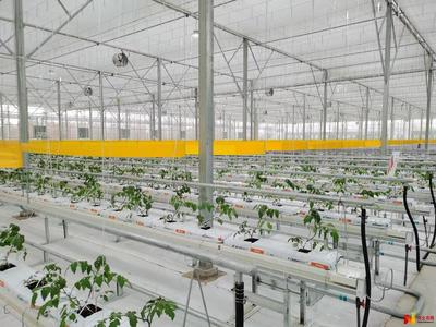 高碑店智圖園區(qū):立足都市農(nóng)業(yè) 助推鄉(xiāng)村振興