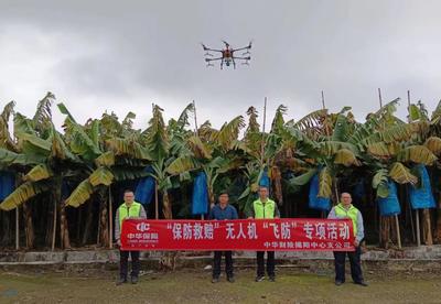 中華財險&ldquo;春耕備耕&rdquo;金融服務(wù)正當(dāng)時