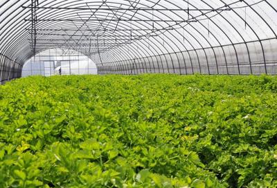 服務(wù)業(yè)哪些比較有前景:盤點最具潛力的十大服務(wù)行業(yè)