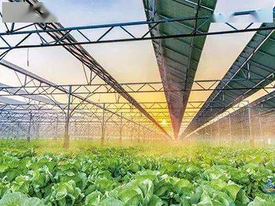 現代種業、鄉村新型服務業&hellip;國家鄉村振興局鼓勵社會資本投資這些涉農產業!