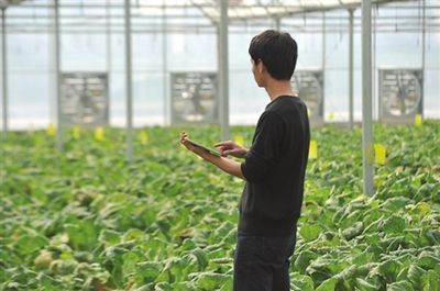 振興鄉(xiāng)村 國(guó)家發(fā)改委點(diǎn)贊貴州農(nóng)業(yè)云、廣東農(nóng)村超高速無線局域網(wǎng)