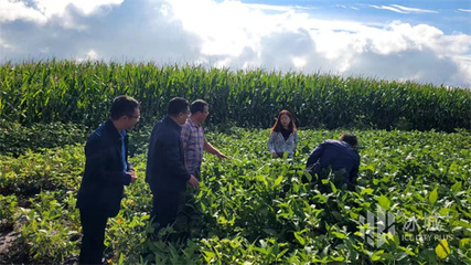 &ldquo;把脈開方&rdquo;促生產(chǎn)|市科協(xié)專家深入田間開展種植科技志愿服務(wù)