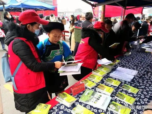 州農(nóng)業(yè)農(nóng)村局農(nóng)業(yè)科技志愿服務進苗寨