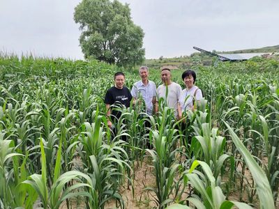 經(jīng)作所三區(qū)特派團在渾源縣召開對接會并開展技術(shù)服務