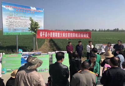 鎮(zhèn)平縣科協(xié):志愿踐行雷鋒精神 科技服務(wù)鄉(xiāng)村振興