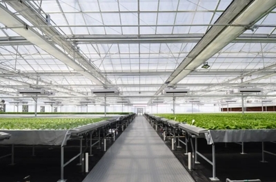 沈陽,一個意想不到的農(nóng)業(yè)大市