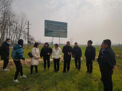 河南省科技特派員赴潢川縣、光山縣開展科技服務