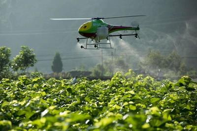 重磅|看京東、金少江、百果園、順豐如何淘金智慧農業