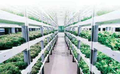 創(chuàng)新驅(qū)動(dòng)!國家電投科技創(chuàng)新成果落地