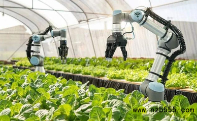 中國智慧農(nóng)業(yè):政策的寵兒,但還是處于初級(jí)階段,未來如何躍遷