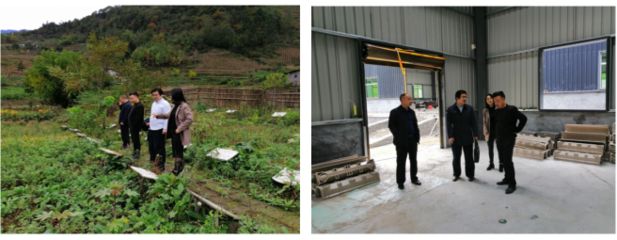 農(nóng)生學(xué)院組織&ldquo;專家團(tuán)隊(duì)&rdquo;深入企業(yè)開展科技服務(wù)