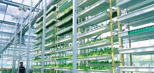 蕭山供銷聯社農資公司:推廣為農服務新模式,打造現代農業新亮點