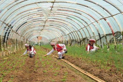 聚焦黨代會(huì) | 五華奮力譜寫區(qū)域性國(guó)際中心城市高品質(zhì)核心區(qū)建設(shè)嶄新篇章