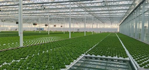 在這里能看到未來(lái)農(nóng)業(yè)的&ldquo;模樣&rdquo;