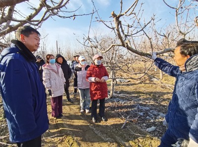 科技助農(nóng)到田間 服務(wù)果農(nóng)暖心田--開(kāi)封市農(nóng)林科學(xué)研究院"四下基層"科技服務(wù)紀(jì)實(shí)