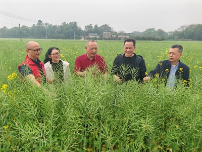 &ldquo;春華&rdquo;變&ldquo;秋實(shí)&rdquo;全州縣4.75萬(wàn)畝稻油輪作實(shí)現(xiàn)&ldquo;一地三收&rdquo;