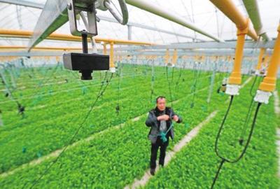 農業科技報-內容詳細