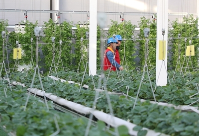 黨員服務(wù)隊(duì)員們上門走訪。閆蓓供圖