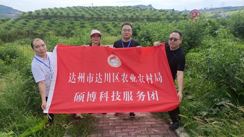 達州市達川區(qū)農(nóng)業(yè)農(nóng)村局 碩博科技服務(wù)團 助推鄉(xiāng)村產(chǎn)業(yè)結(jié)碩果