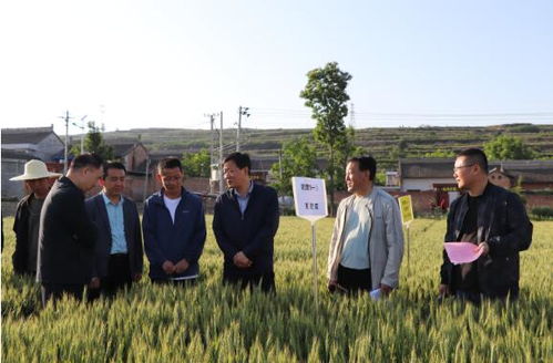 讓農(nóng)業(yè)科技之花綻放在隴州大地上