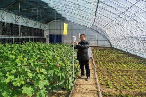 一年之計在于春，農(nóng)氣聯(lián)手促增收：農(nóng)業(yè)科技服務(wù)的創(chuàng)新與展望