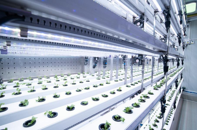 拼多多Q3財報發(fā)布 陳磊強調(diào)重倉“新質(zhì)供給”與“電商西進”生態(tài)建設(shè)，深化農(nóng)業(yè)科技服務(wù)