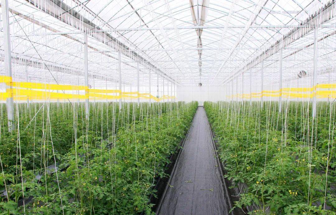 夯實生態(tài)底板 打造世界級殷實農(nóng)場 農(nóng)業(yè)科技服務(wù)